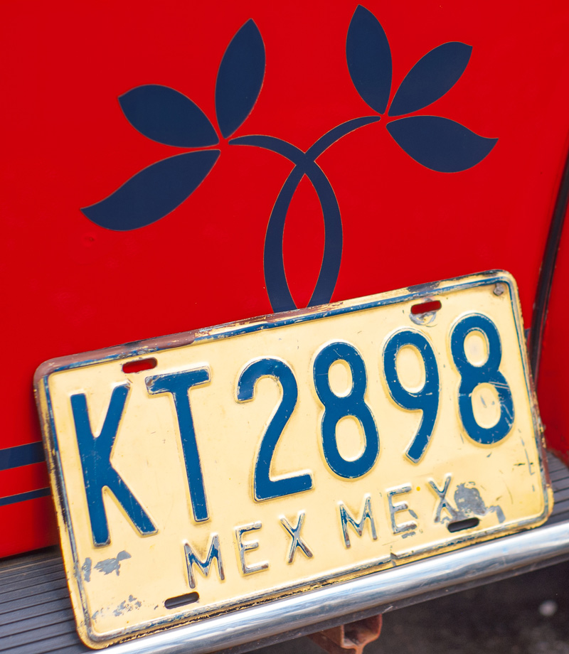 Kaefer Samtrot Mexiko Kennzeichen